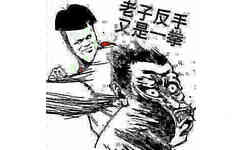 老子反手又是一拳