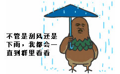 不管是刮风还是下雨，我都会一直到群里看看