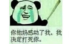 你他妈感动了我，我决定打死你。