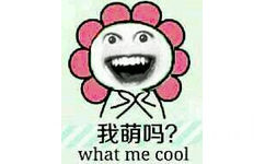 我萌吗？（what me cool）