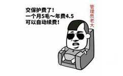 交保护费了！一个月5毛，年费4.5元，可以自动续费！