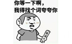 你等一下啊，我得找个词夸夸你