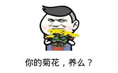 你的菊花，养么？