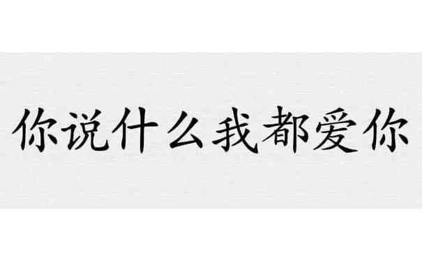 你说什么我都爱你