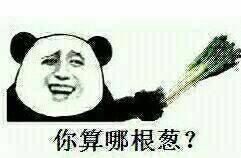 你算哪根葱？