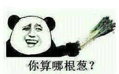 你算哪根葱？