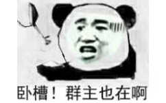 卧槽！群主也在啊