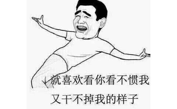 就喜欢看你看不惯我又干不掉我的样子