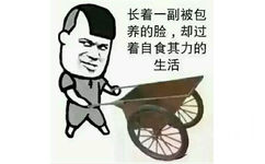 我长着一副被包养的脸，却过着自食其力的生活