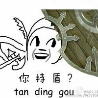 你持盾吗？（tan ding gou）