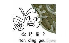 你持盾吗？（tan ding gou）