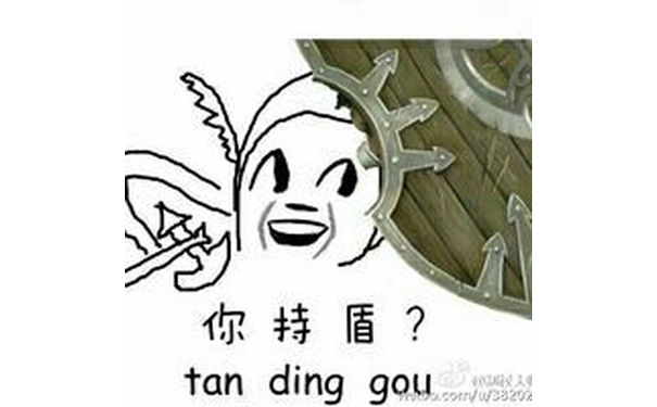 你持盾吗？（tan ding gou）