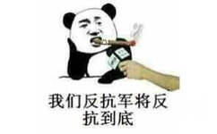 我们反抗军将反抗到底