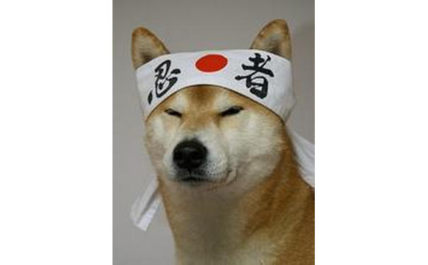 忍者（doge）