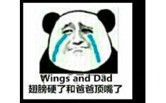 翅膀硬了和爸爸顶嘴了（wings and dad）