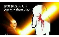 你为何这么叼？（you why zhe me diao）