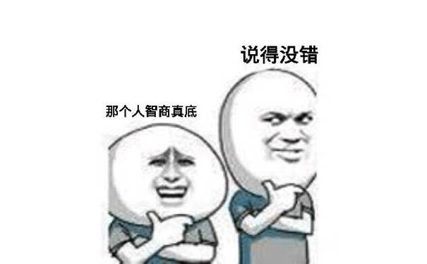 那个人智商真低，说得没错