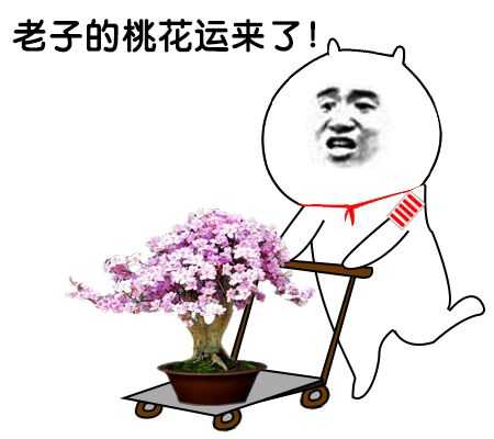 老子的桃花运来了！