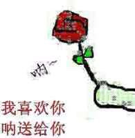 我喜欢你，呐送给你（花花）