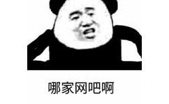 哪家网吧啊