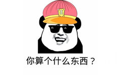 你算个什么东西？