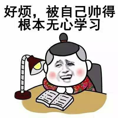 好烦，被自己帅得根本无尽学习