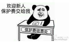 欢迎新人，保护费交给我