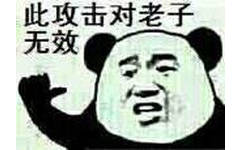 此攻击对老子无效