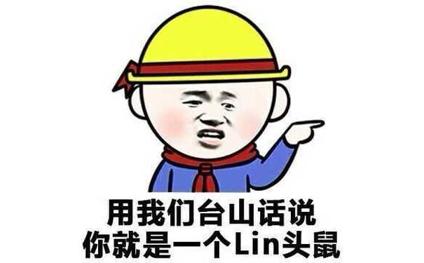 用我们台山话说，你就是一个lin头鼠