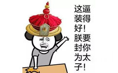 这逼装得好！朕要封你为太子！