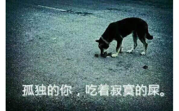 孤独的你，吃着寂寞恩屎