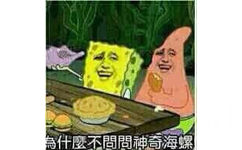 为什么不问问神奇的海螺