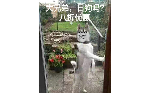 大兄弟，日狗吗？八折优惠