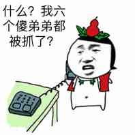 什么？我六个傻弟弟都被抓了？