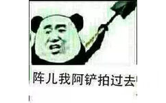 陈儿我阿铲拍过去