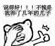 说得好！！！不愧是我养了几年的儿子