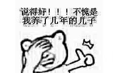 说得好！！！不愧是我养了几年的儿子