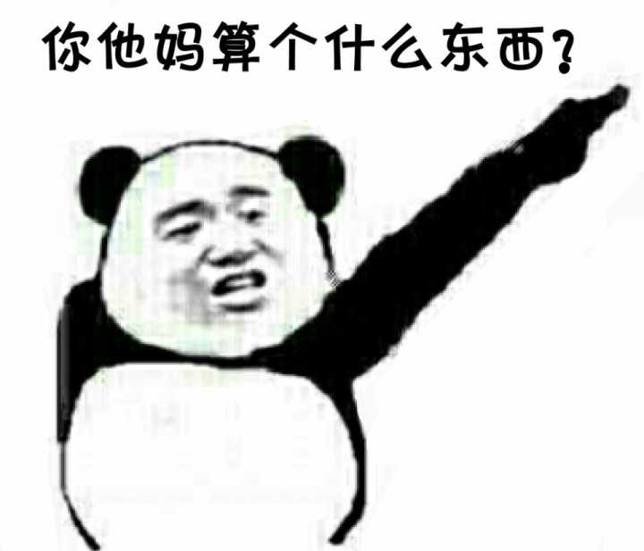 你他妈算个什么东西？