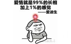 爱情就是99%的长相，加上1%的感觉--爱迪生