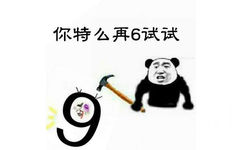 你特么再6试试？