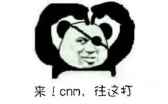 来！cnm，往这打