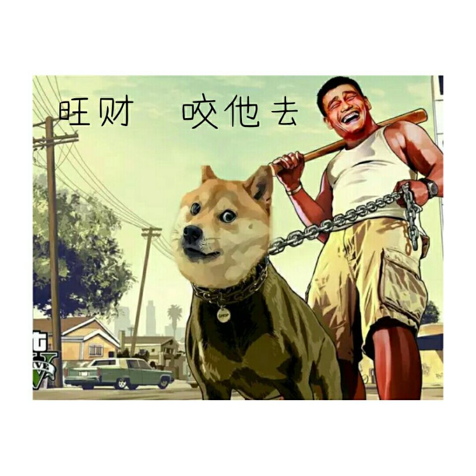 旺财 咬他去