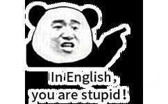 in english, you are stupid!