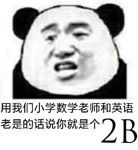 用我们小学数学老师和英语老师的话说你就是个2B