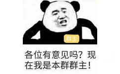 各位有意见吗？现在我是本群群主！