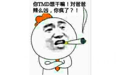 你TM想干嘛！对爸爸辣么凶，你疯了？！