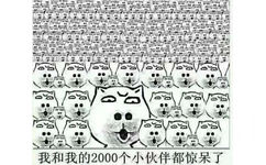 我和我的2000个小伙伴都惊呆了