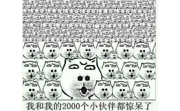 我和我的2000个小伙伴都惊呆了