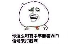 你这么叼，有本事顺着wifi信号来打我啊