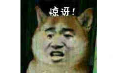 惊讶 （doge）